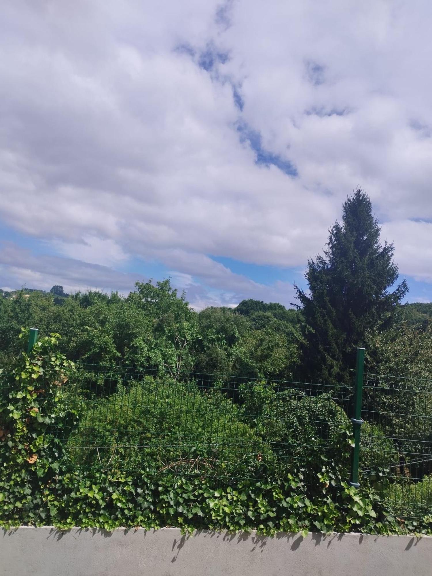 Appartamento La Casita Del Bosque Lugo Esterno foto