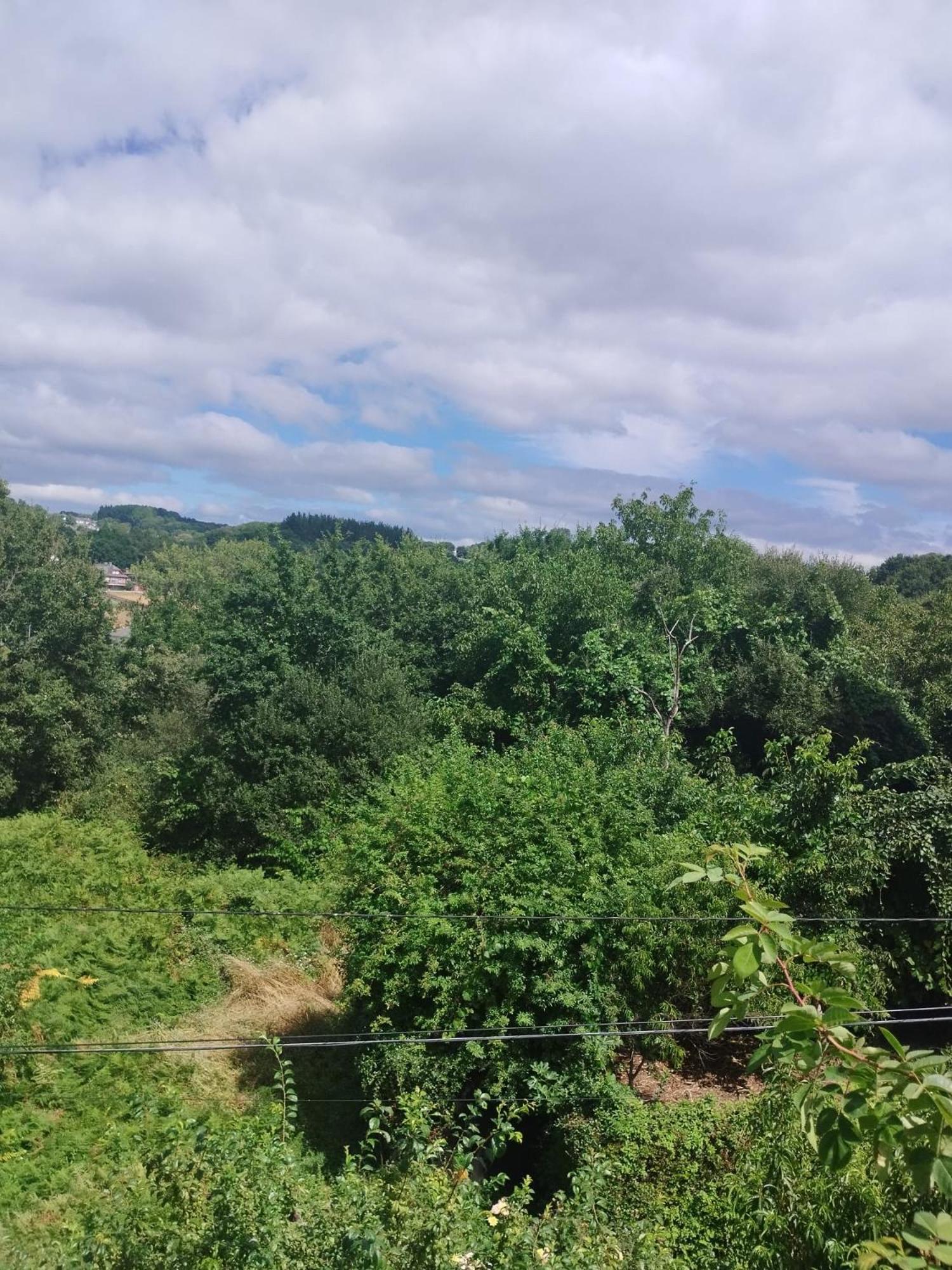 Appartamento La Casita Del Bosque Lugo Esterno foto